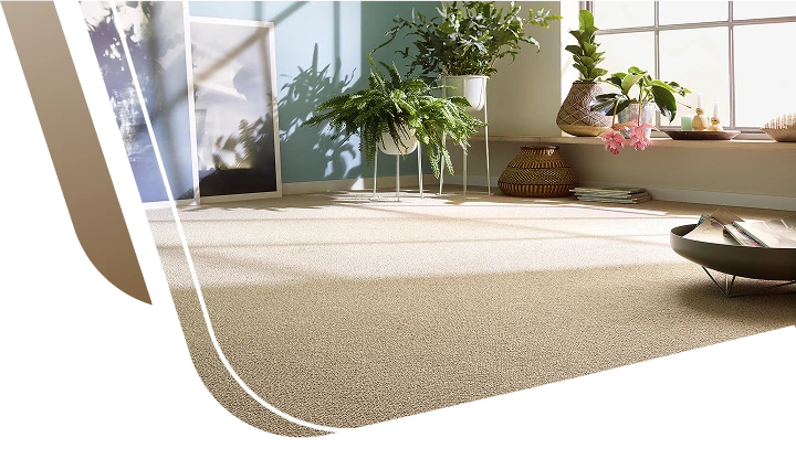 Beige wool wall to wall carpet in sunlit room with plants