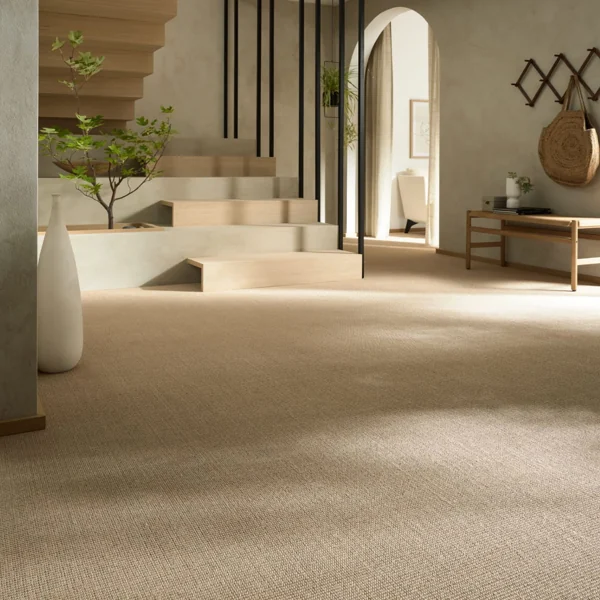 Beige wool wall to wall carpet in modern entryway