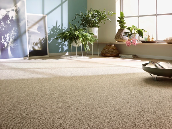 Beige wool wall to wall carpet in sunlit room with plants