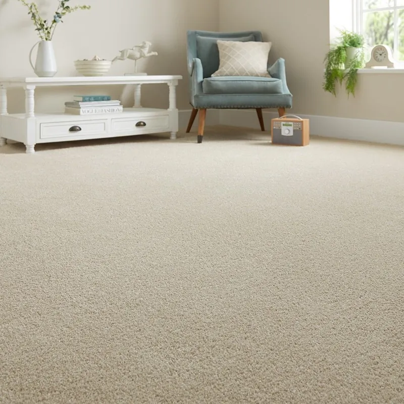 Cream plush wool wall-to-wall carpet in living room