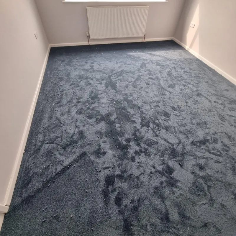 Dark blue wool wall-to-wall carpet in empty room