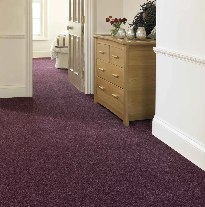 Deep plum purple wool wall-to-wall carpet in hallway