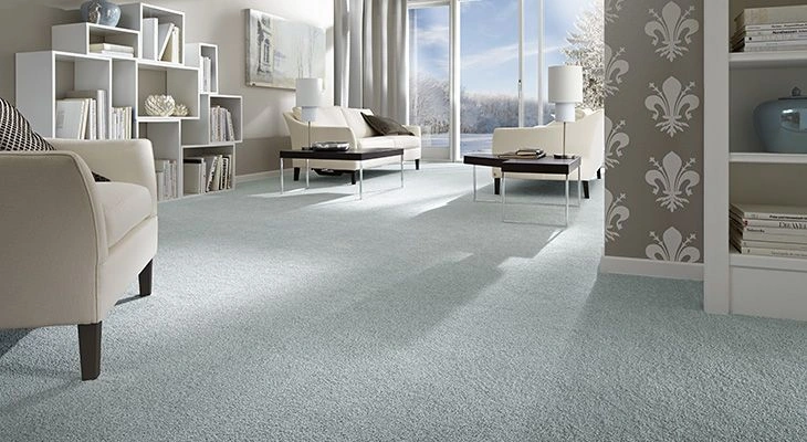 Light blue wall to wall carpet in bright living room