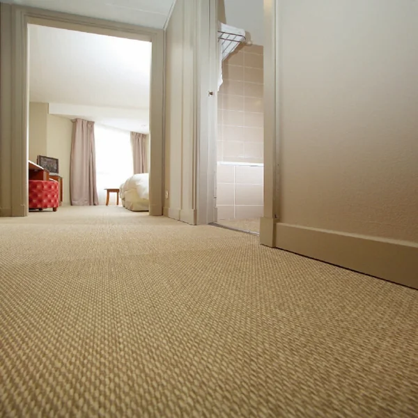 Natural sisal wall to wall carpet in light hallway