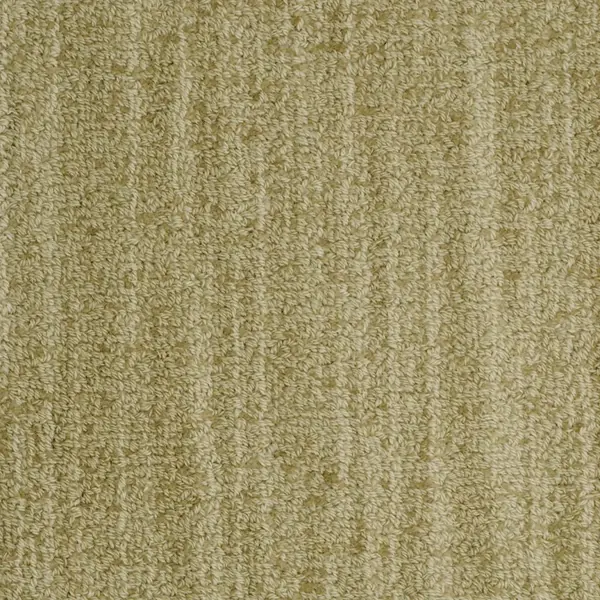 Olive green wool wall to wall carpet texture