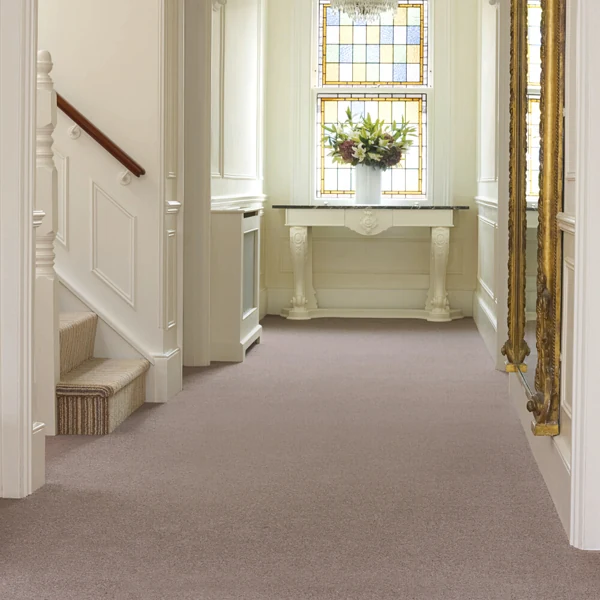 Taupe grey wool wall to wall carpet in hallway area