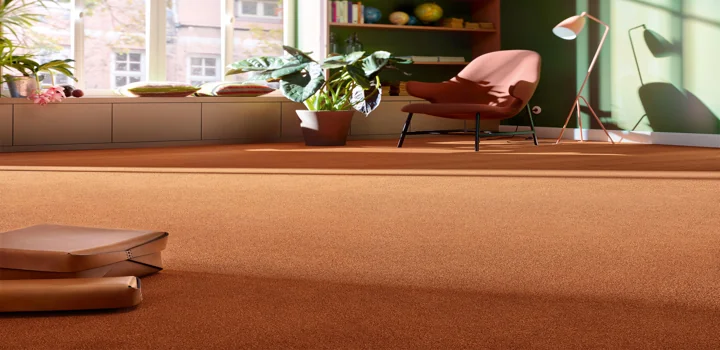 Terracotta wall to wall carpet in sunny living room